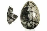 Septarian Dragon Egg Geode - Removable Section #219095-3
